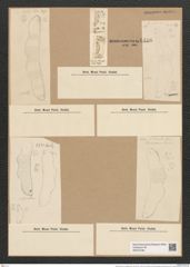 Eunotia formica var. bigibba Grun. (de-Toni-Nr.: Genus 104, Species 3154) Zeichnungen Sammlung Grunow Nr. 6486 (NHMW-BOT-W0375189)